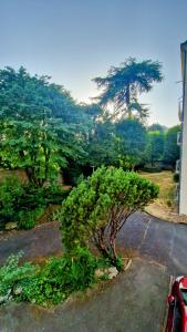 Appartements Ocalme : photos des chambres
