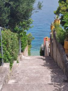 Apartment in Okrug Gornji 6196