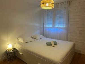 Appartements Renovated apartment - 3 bedrooms - parking - balcony : photos des chambres