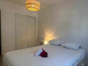 Appartements Renovated apartment - 3 bedrooms - parking - balcony : photos des chambres