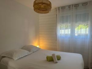 Appartements Renovated apartment - 3 bedrooms - parking - balcony : photos des chambres