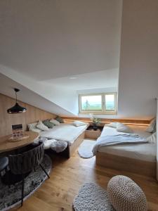 Štít Deluxe Studio