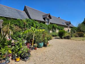 Maisons de vacances Eco-friendly house, near Angers5 bedrooms, 2 bathrooms : photos des chambres