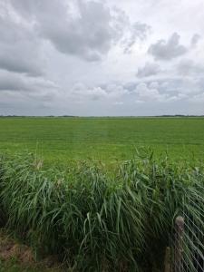 Chalet Julia, Minicamping de Grutte Earen