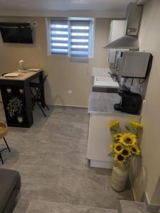Appartements Dodo tropic : photos des chambres