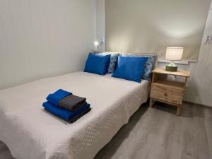 Apartment Vainagu street Sigulda