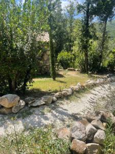 Maisons de vacances LA PAUSE - 3 villas avec Jacuzzi privatif a chisa : photos des chambres