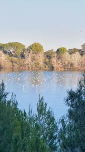 B&B / Chambres d'hotes La Gouillette en Camargue : photos des chambres