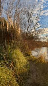 B&B / Chambres d'hotes La Gouillette en Camargue : photos des chambres