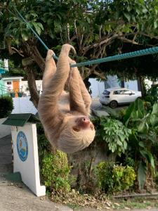 Hotel Villas de la Selva