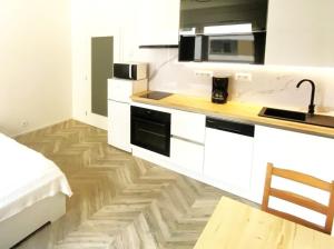 Apartment Brno Center