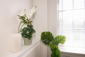 Stylish 1 Bed Apartment in Penarth Town Flat 2