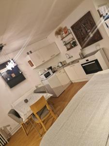 Studio Apartment Central