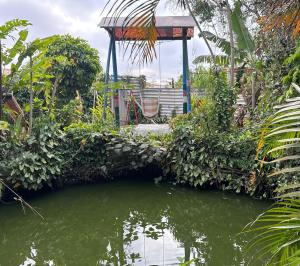 Chácara Nhá Chica - Roseira - Aparecida - a 8km do Santuário Nacional
