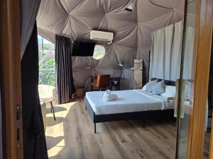 Best View Glamping