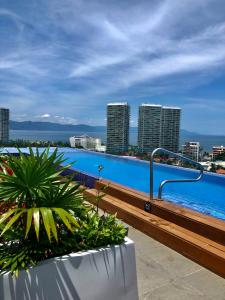 Chic 1BR 1BA Zoho Skies condo with rooftop pool stunning views