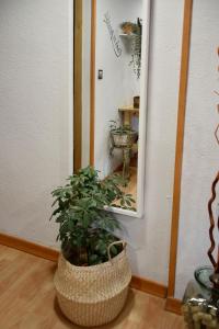 Renovado acogedor Luminoso Ideal Soleado Confortable