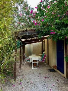 Maisons de vacances Charmant bas de villa avec jardin : photos des chambres