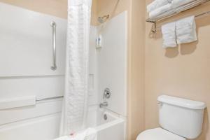 Deluxe Queen Room with Two Queen Beds room in Comfort Inn North Colorado Springs