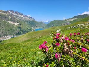 Chalets Chalet Amuse : photos des chambres
