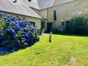 Maisons de vacances The Paradise of Birds The song of nature in the heart of the Norman bocage : photos des chambres
