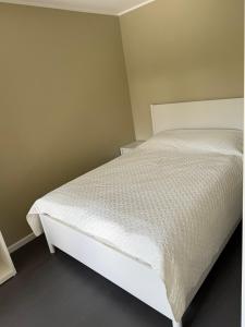 Pargi külaliskorter