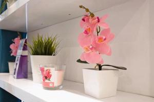 Appartements Nice studio with a terrace : photos des chambres