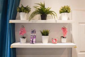 Appartements Nice studio with a terrace : photos des chambres