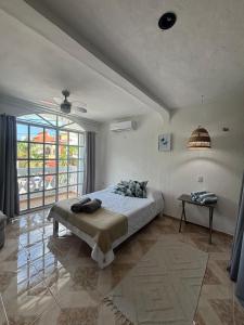 Centrally located and comfortable room Ficus