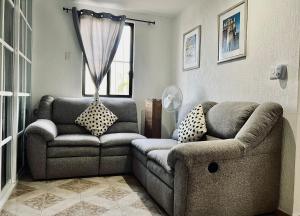 Centrally located and comfortable room Ficus