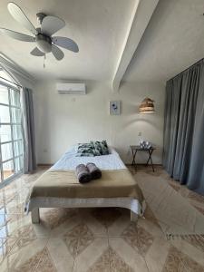Centrally located and comfortable room Ficus