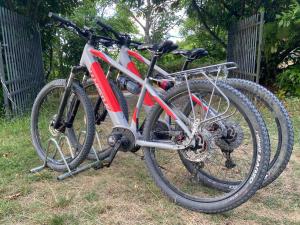 Stanza nel bosco alla Canova di Biforco