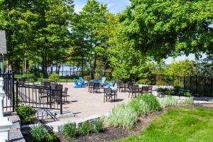 The Cattail - 26 Meadowview