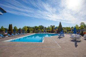 The Cattail - 26 Meadowview