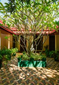 EverGreen Resort Udawalawe