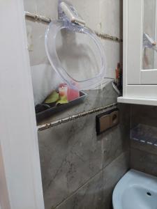 Younes Alkindi Nador