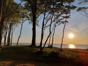 Dębina Lounge 20 Apartamenty