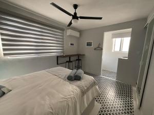Centrally located and cozy studio Blue