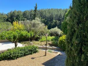 Maisons de vacances Le mazet Tihou - Le mas du tilleul : photos des chambres