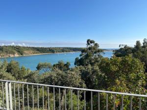 Casa no Rio - River House