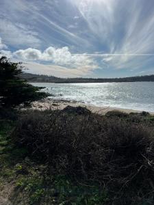 Almost Eden Guesthouse