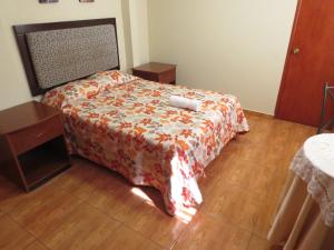 HOSPEDAJE LAS FLORES ICA