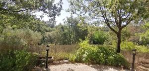 Maisons de vacances Un Cabanon en Provence : photos des chambres