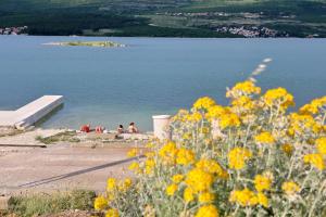 Holiday house with a swimming pool Pridraga - Cuskijas, Novigrad - 24776