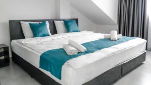 Apartments in Ohrid - IconicInn