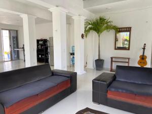 Casa Donde Entra la Luz y Vive la Naturaleza CCTV