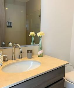 Vista Espectacular Mar Caribe Bocagrande