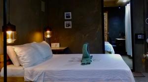 SUMMER HOUSE B Starlink