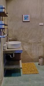 SUMMER HOUSE B Starlink