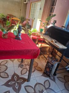 Zeus cómodo e Imperdible